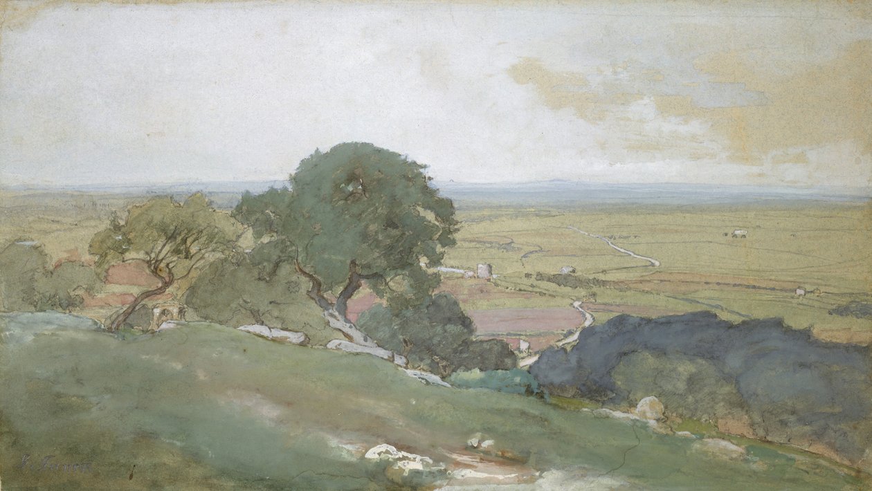 蒂沃利的橄榄树，1873年。 作者 乔治·英尼斯