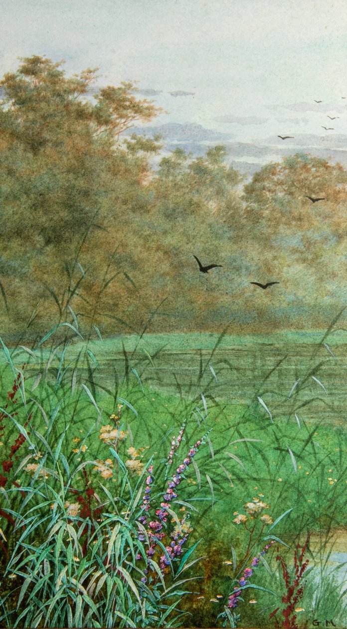 夏天（水彩画） 作者 乔治·马克斯