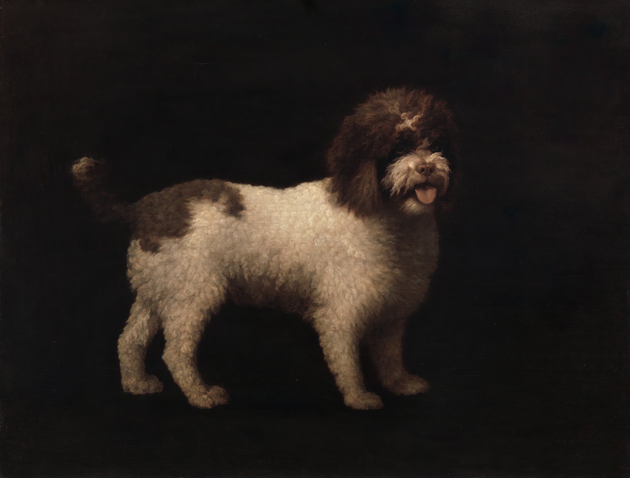 水猎犬，1769年。 作者 乔治·斯塔布斯