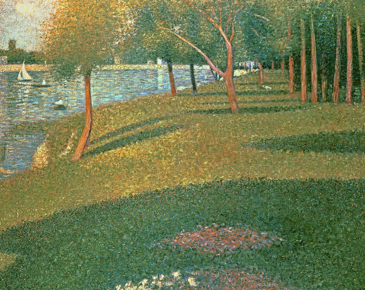 伟大的Jatte 作者 乔治·苏拉特