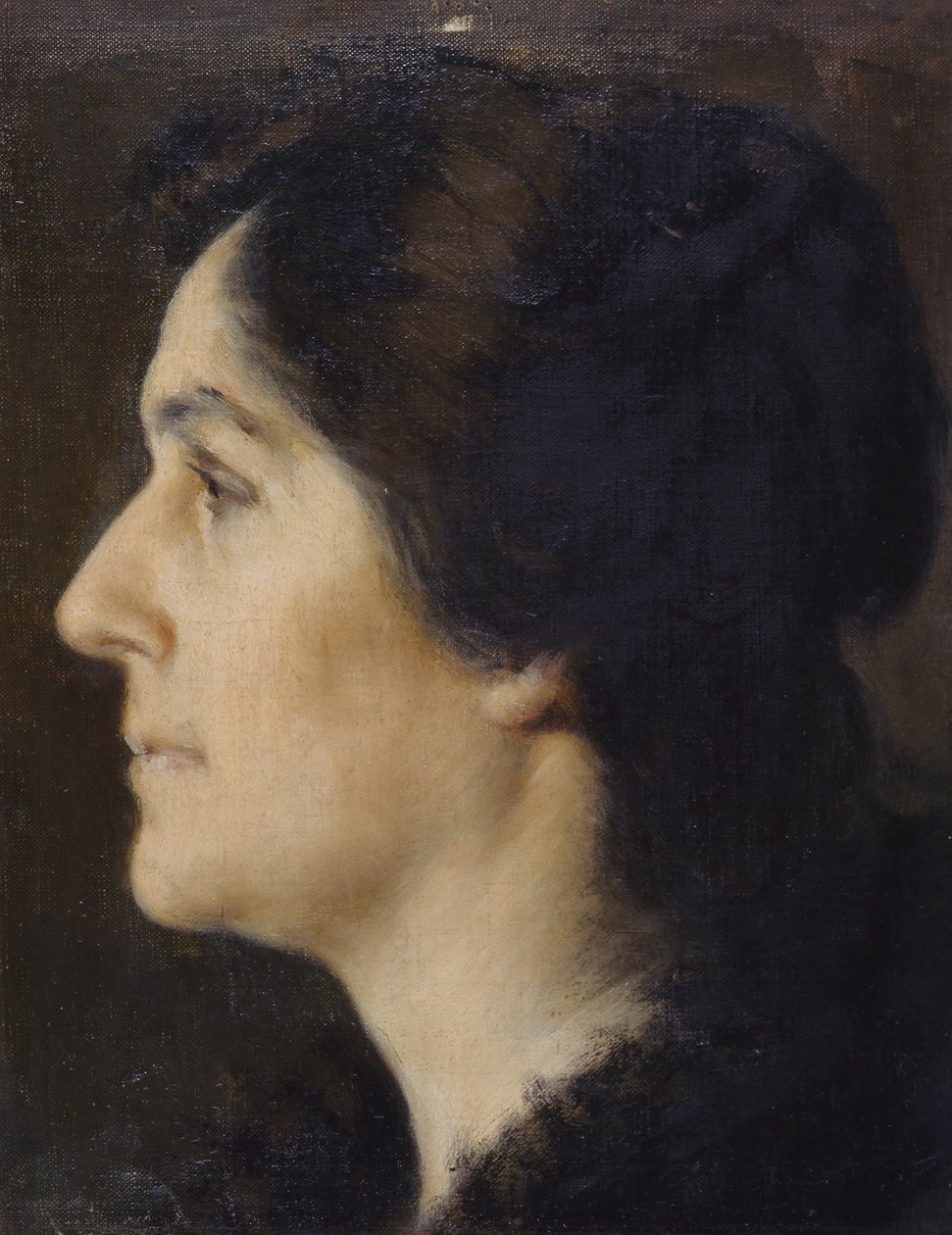女人的脸 作者 乔凡尼·博尔迪尼（Giovanni Boldini）