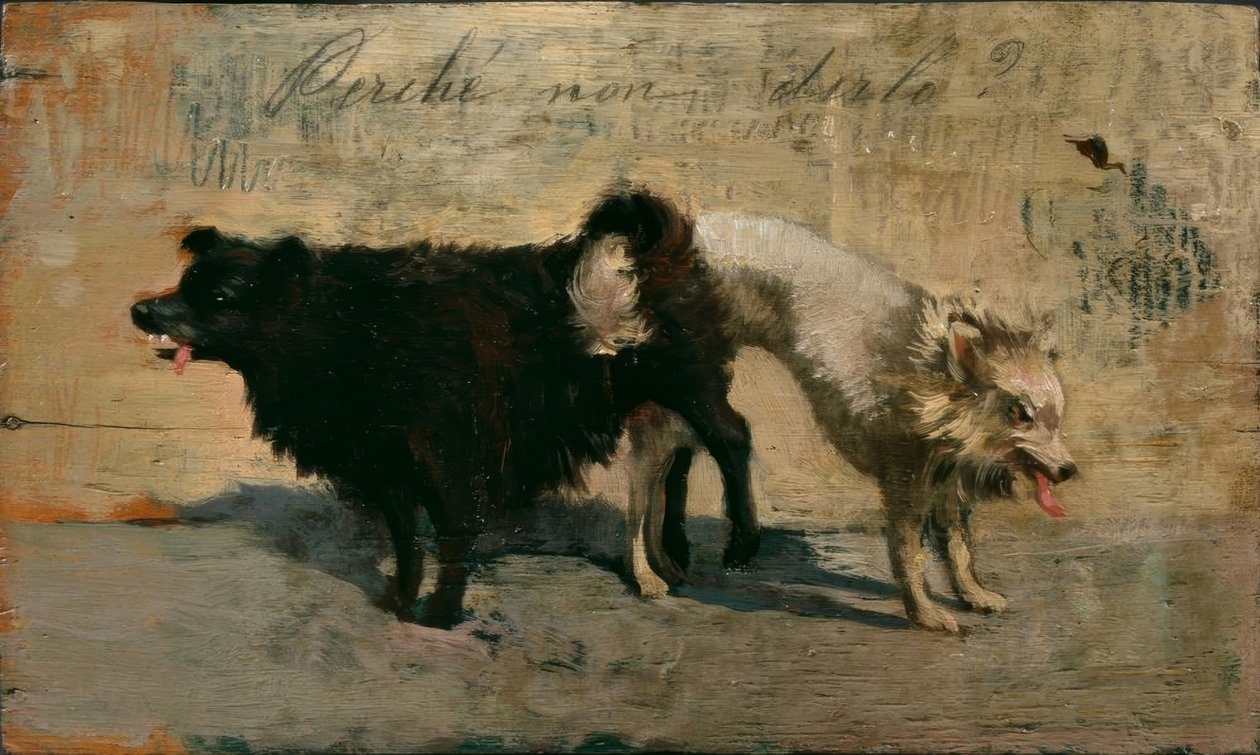 为什么不说呢？ 作者 乔凡尼·法托里（Giovanni Fattori）