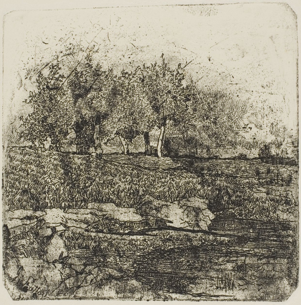 草地上的树木 作者 乔凡尼·法托里（Giovanni Fattori）
