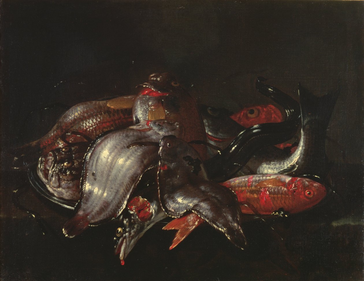 鱼的静物，c.1670-80 作者 朱塞佩·雷科