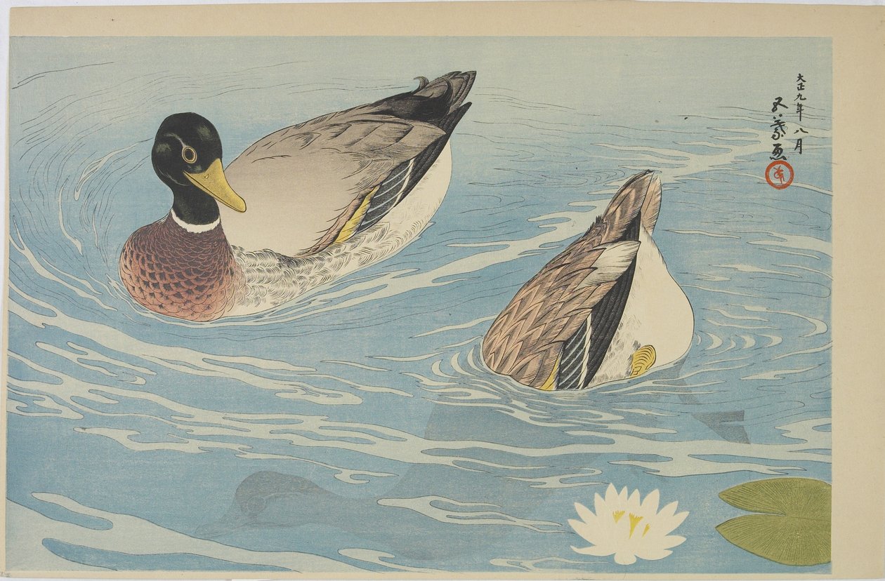 鸭子，1920年8月 作者 桥口吾代