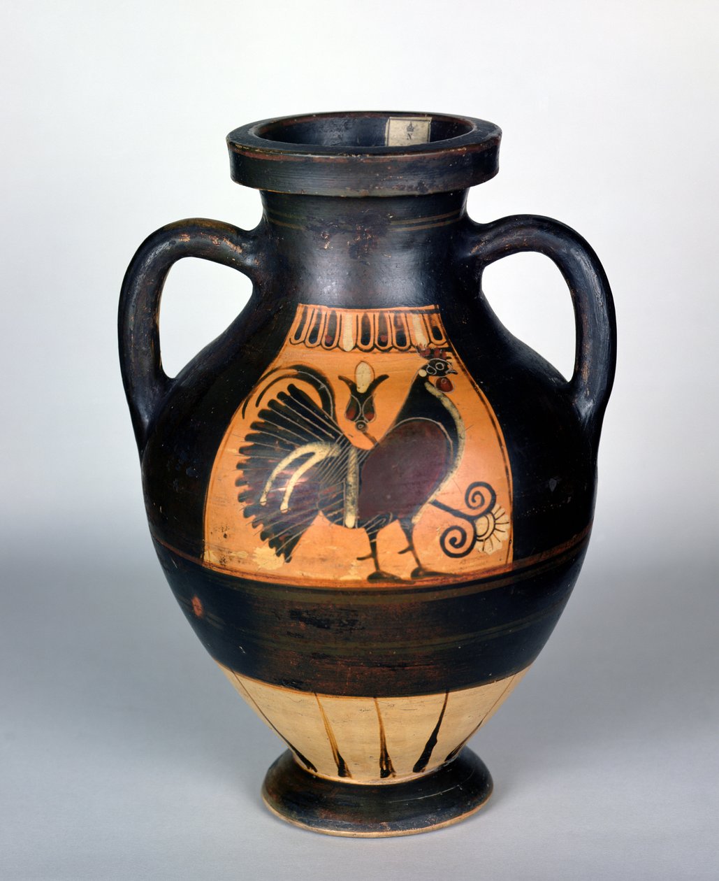 Amphora描绘公鸡，科林斯风格（陶器） 作者 希腊文