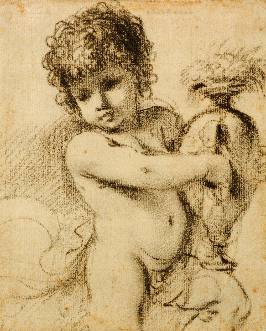 带花瓶的Putto 作者 格尔奇诺