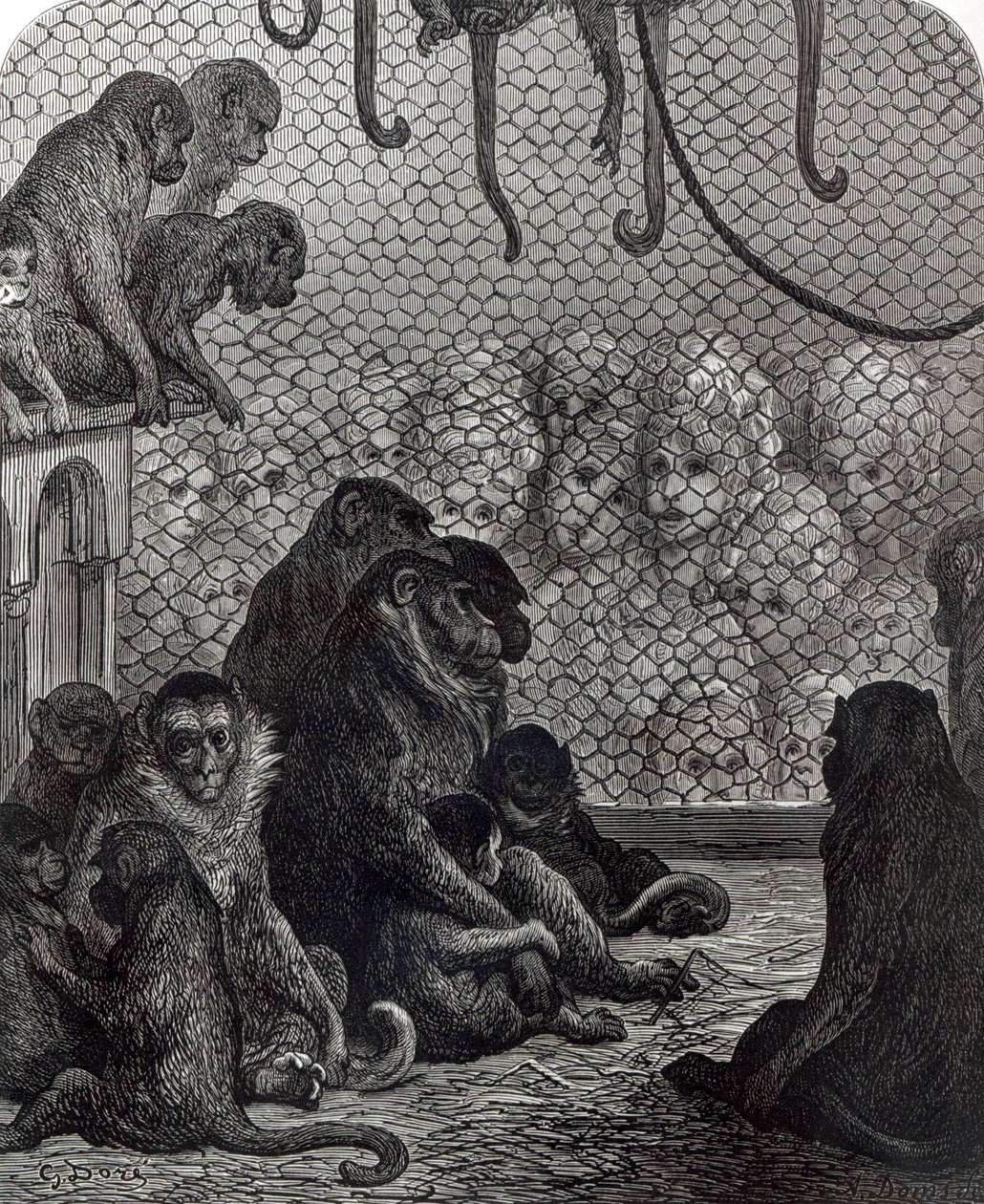 &39;伦敦&39;猴子 作者 古斯塔夫·多尔（Gustave Dore）