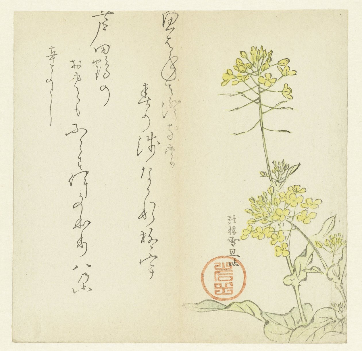 鲜花 作者 长谷川濑田