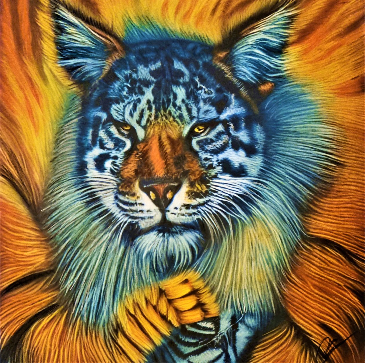 皇家猫科动物 作者 哈斯克尔艺术
