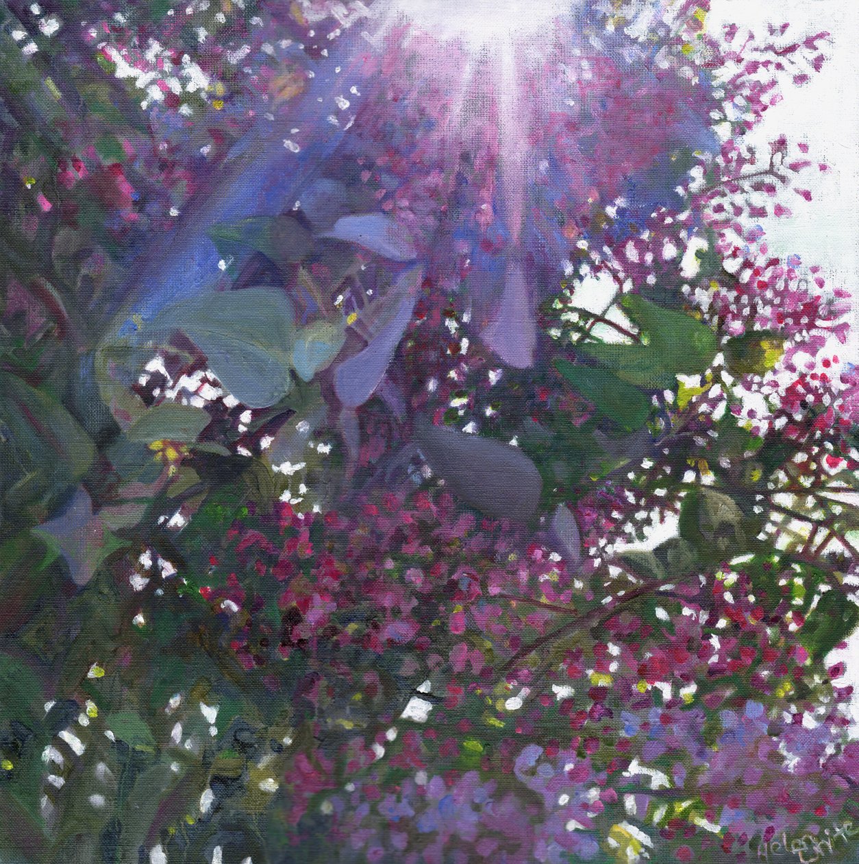 Brilliance，2014， 作者 海伦·怀特