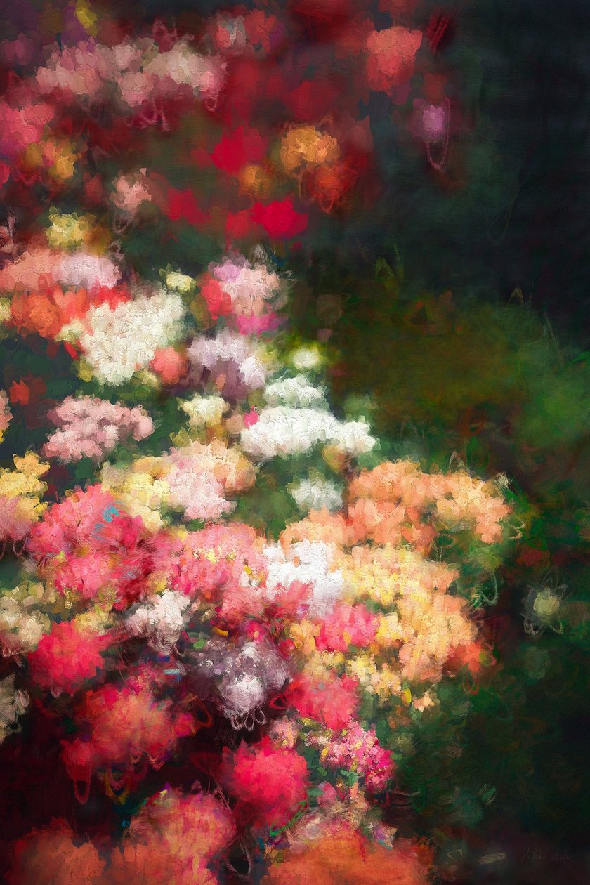花边，2018年， 作者 海伦·怀特