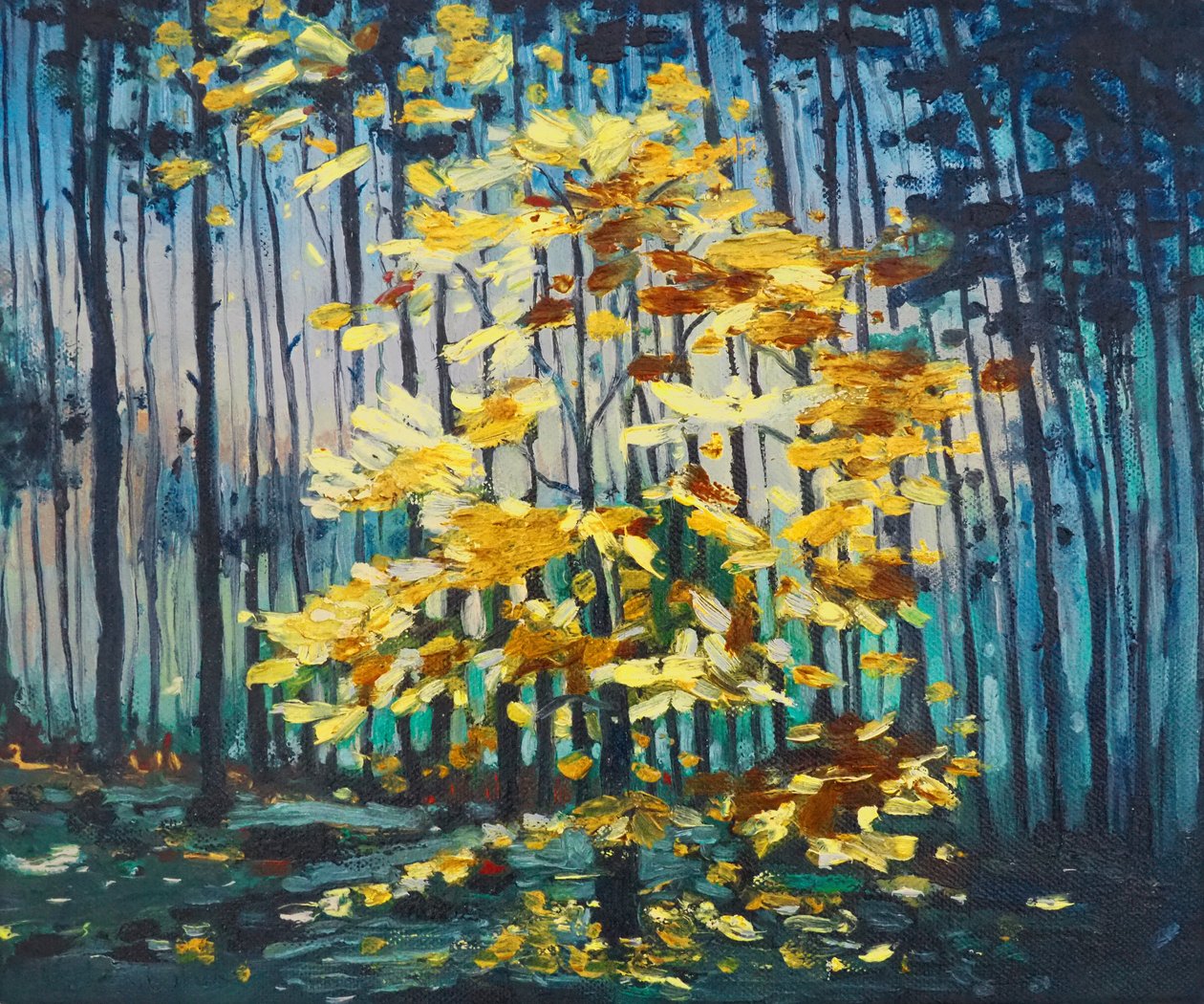 秋季山毛榉，2008 作者 海伦·怀特