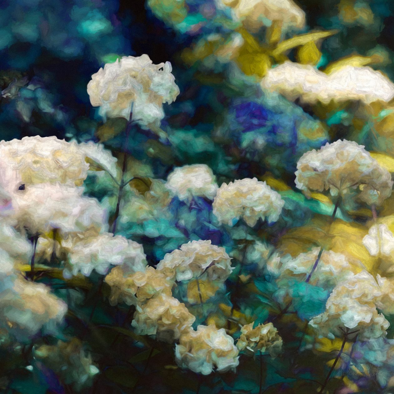 Heavenly Hydrangeas, 2020 作者 海伦·怀特