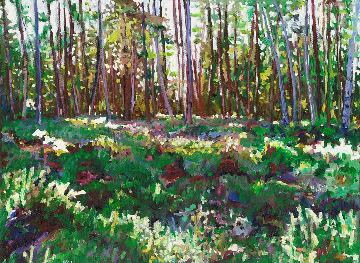 石南花上的阳光, 2011 作者 海伦·怀特