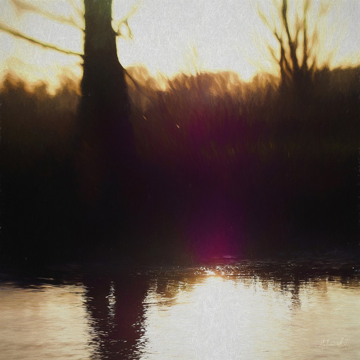 Violet Haze，2018， 作者 海伦·怀特