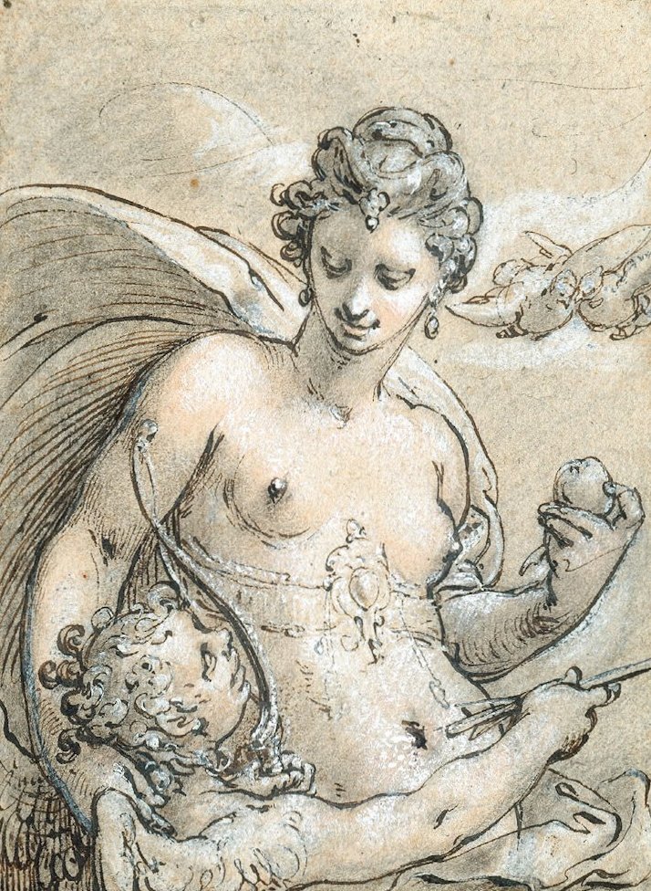 金星 作者 亨德里克·古尔齐乌斯（Hendrik Goltzius）