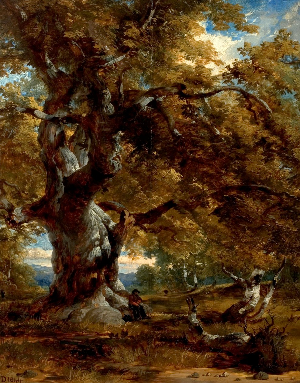 1844年的Major Oak 作者 亨利·道森