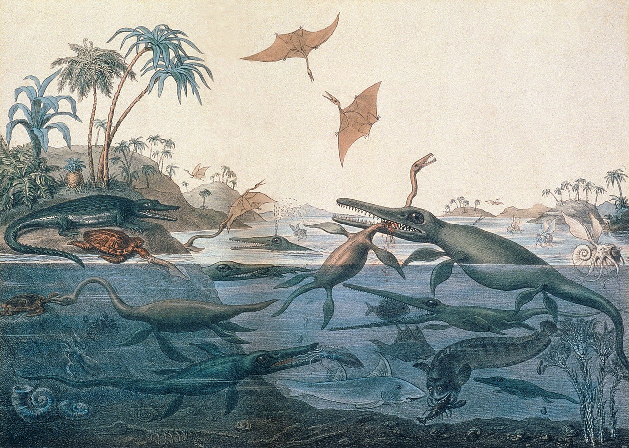Duria antiquior（古多塞特），侏罗纪海洋生活的富有想象力的重建，由George Scharf（1820-95）雕刻，由Charles Joseph Hullmandel（1789-1850）印制 作者 亨利·托马斯·德拉贝切