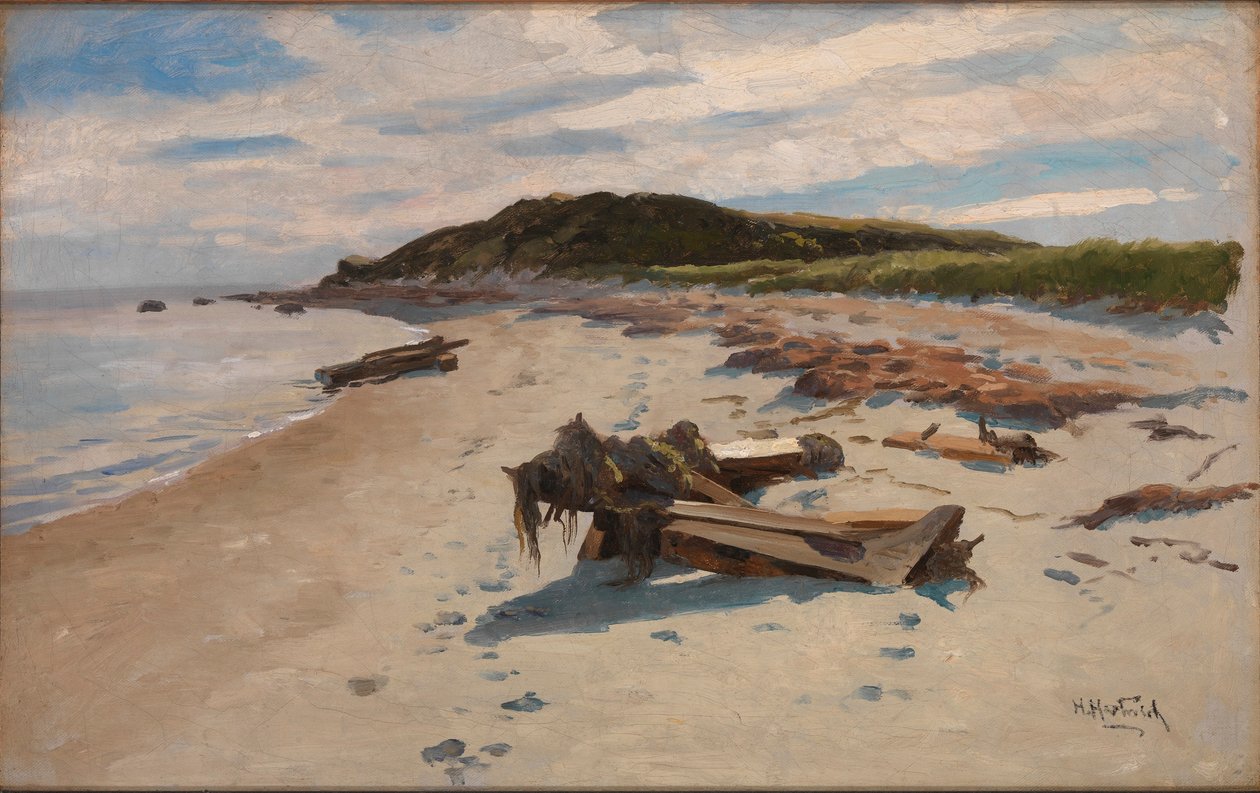 科德角, 海滩 作者 赫尔曼·哈特维奇（Herman Hartwich）