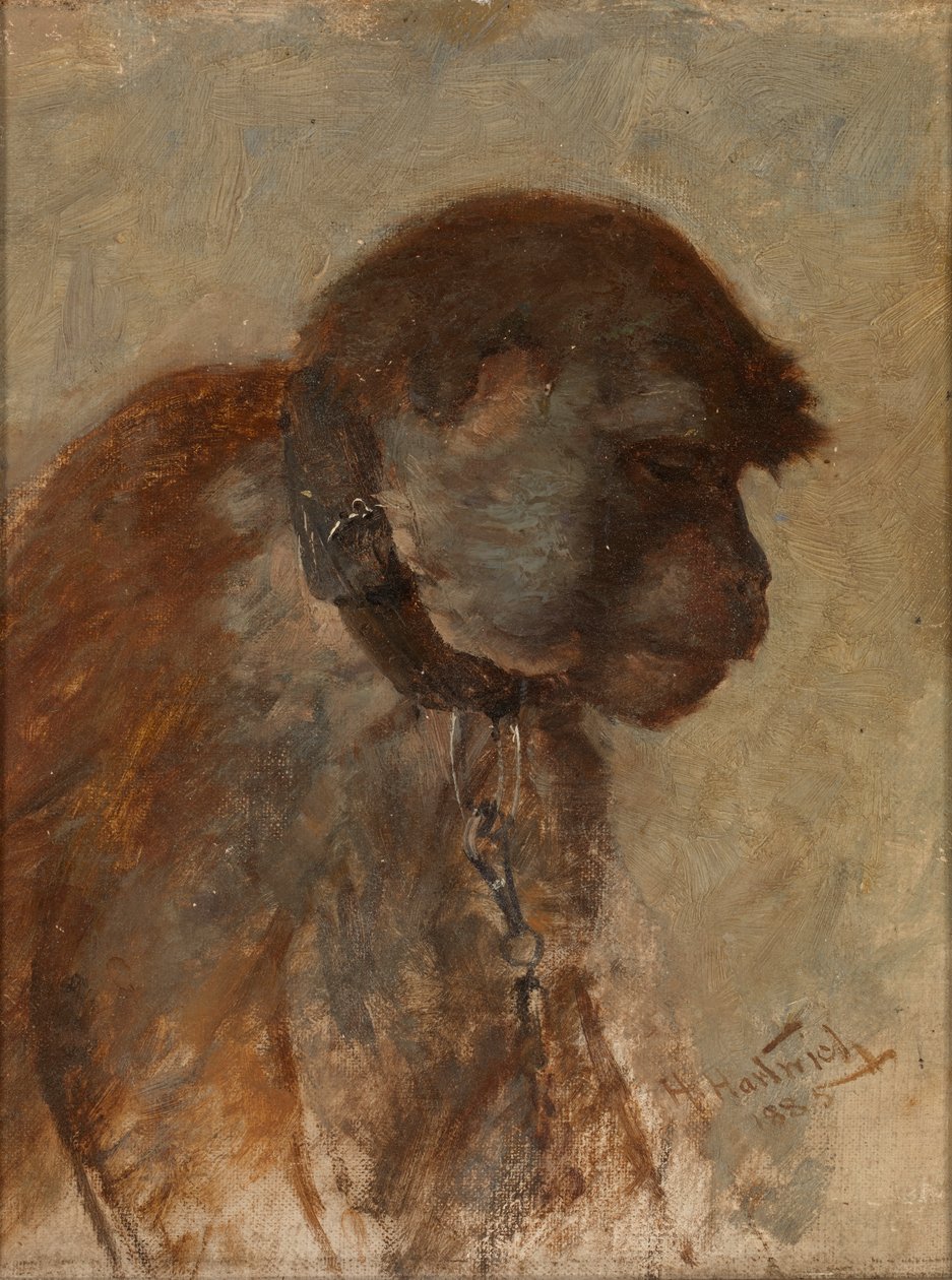 沉思，1885年。 作者 赫尔曼·哈特维奇（Herman Hartwich）