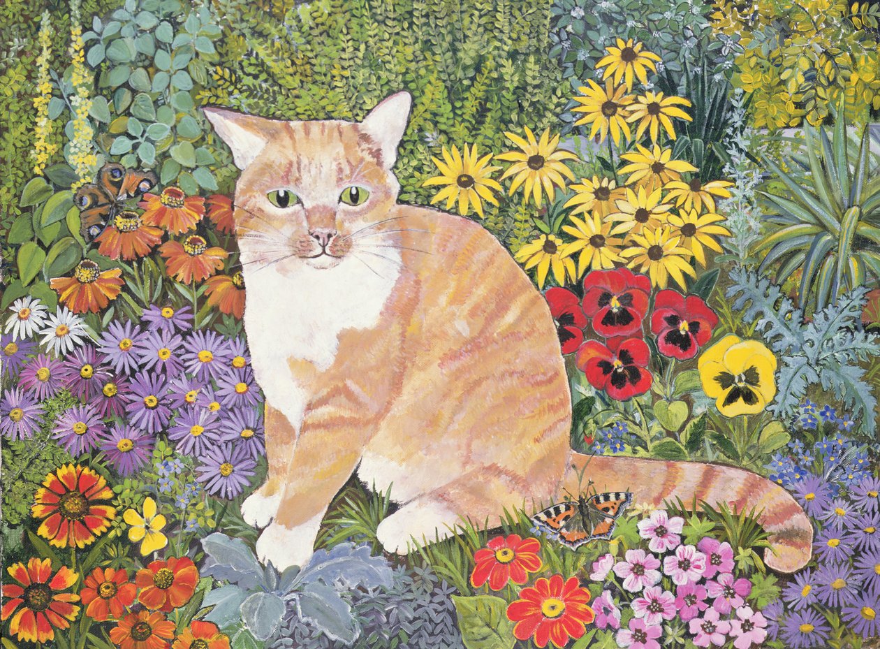 木匠猫 作者 希拉里·琼斯（Hilary Jones）