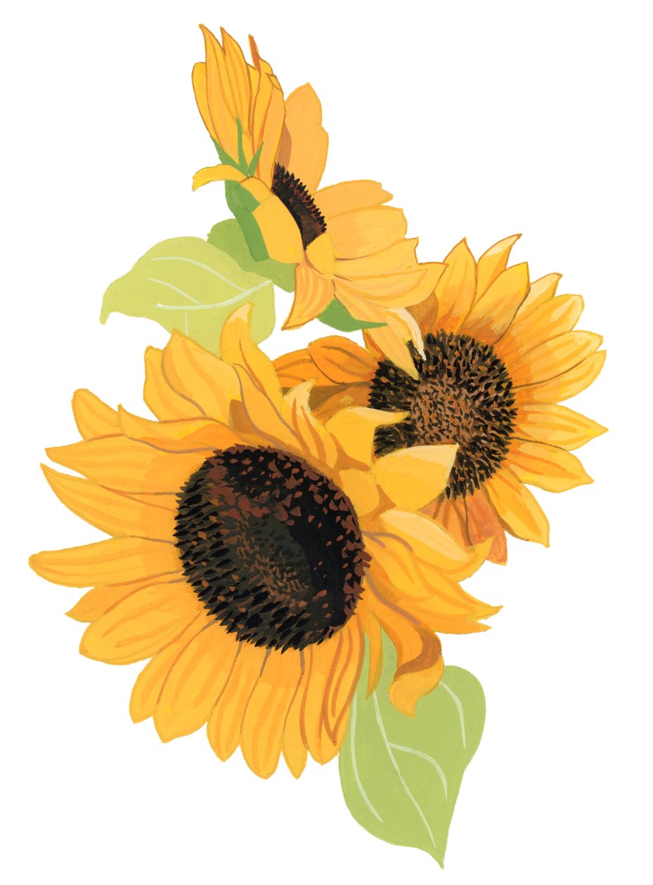 Sunflower 作者 井筒宏之