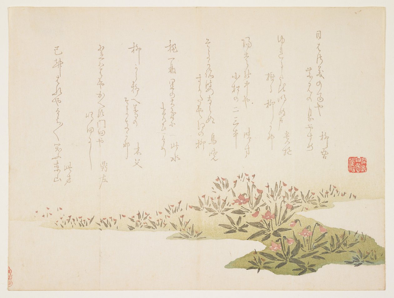 紫罗兰，c.1848-53（彩色木版画） 作者 