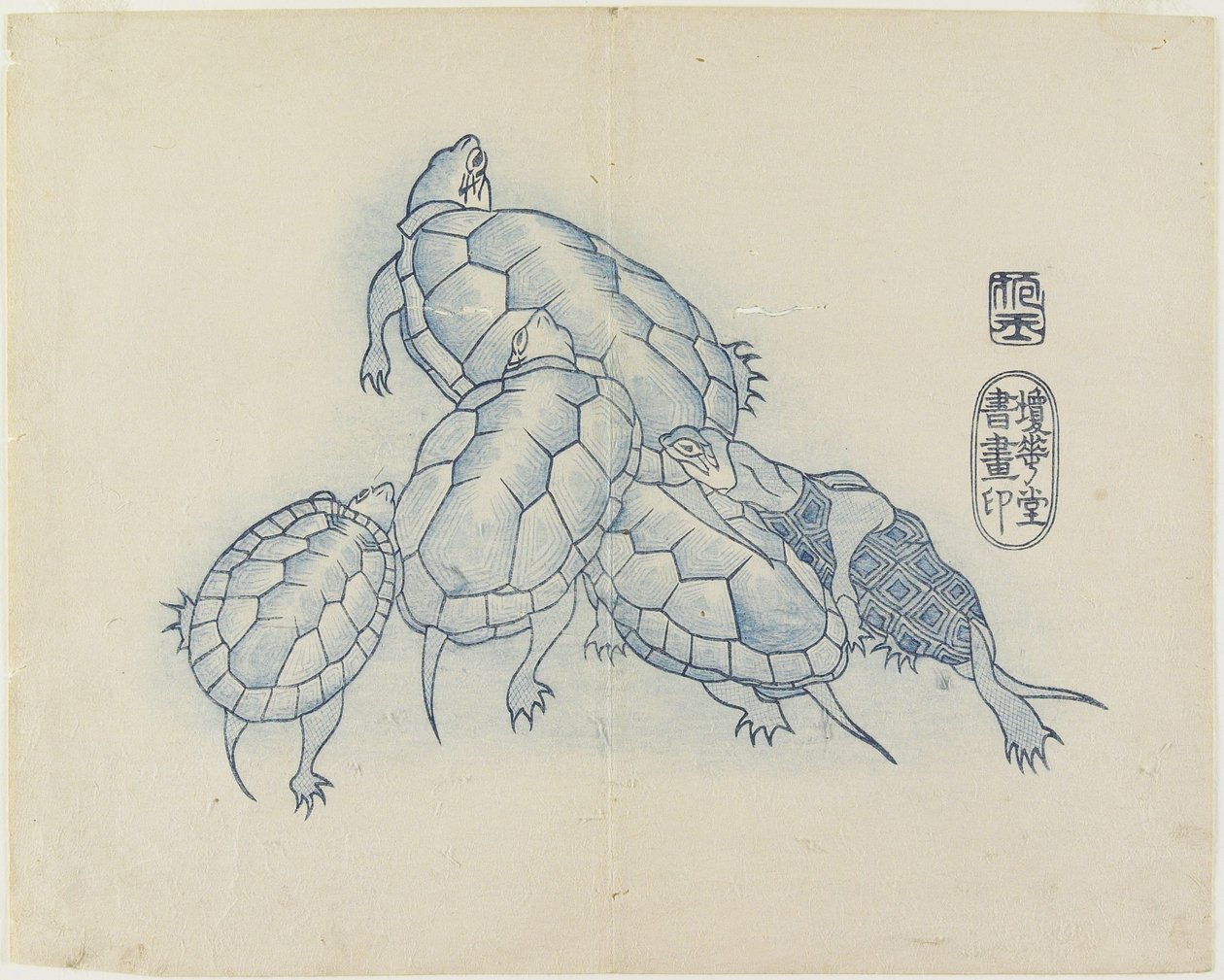 （海龟），c。 1830 作者 北国