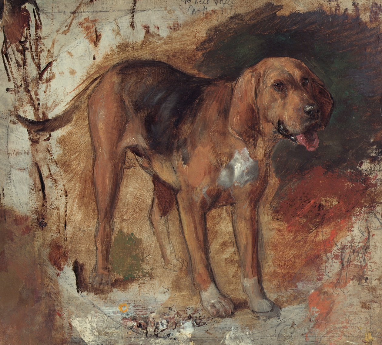 研究猎犬 作者 威廉·霍尔曼·亨特