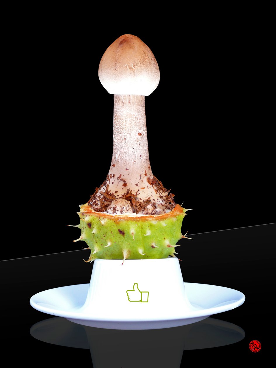 喜欢 作者 雨果·内菲