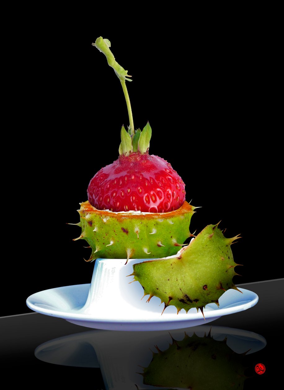 醋栗 作者 雨果·内菲