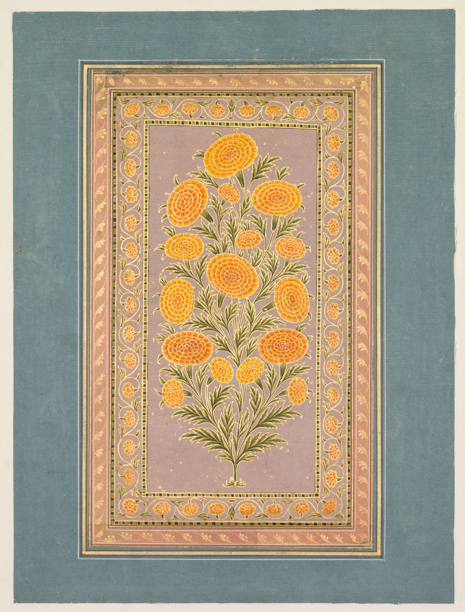 开花的金盏花，约1765年。 作者 洪哈尔二世