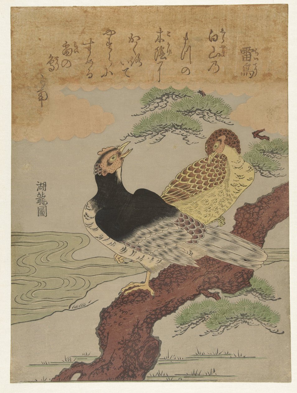 雷鸟
雷鸟 作者 oda田K