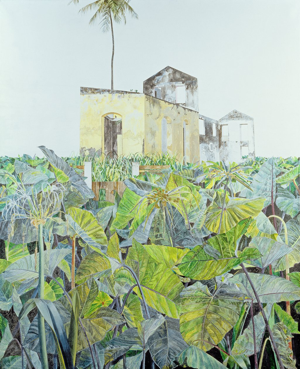 废墟在海地沼泽，1971年 作者 詹姆斯·里夫