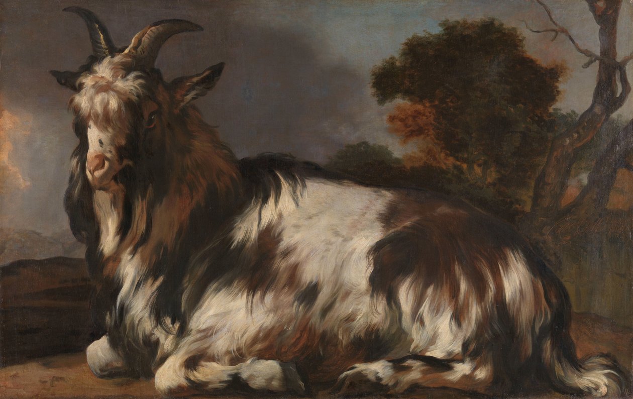 躺着的山羊 作者 Jan Baptist Weenix