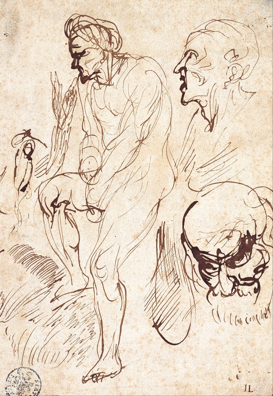 模型之后的研究 作者 扬·利文斯（Jan Lievens）