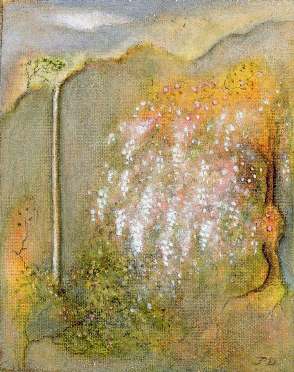 White Whisteria，2001 作者 简·迪肯