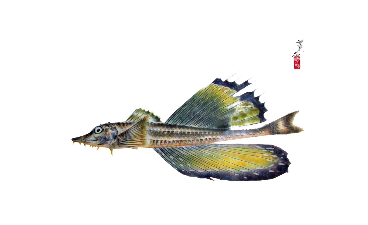 Gyotaku 作者 日本学校