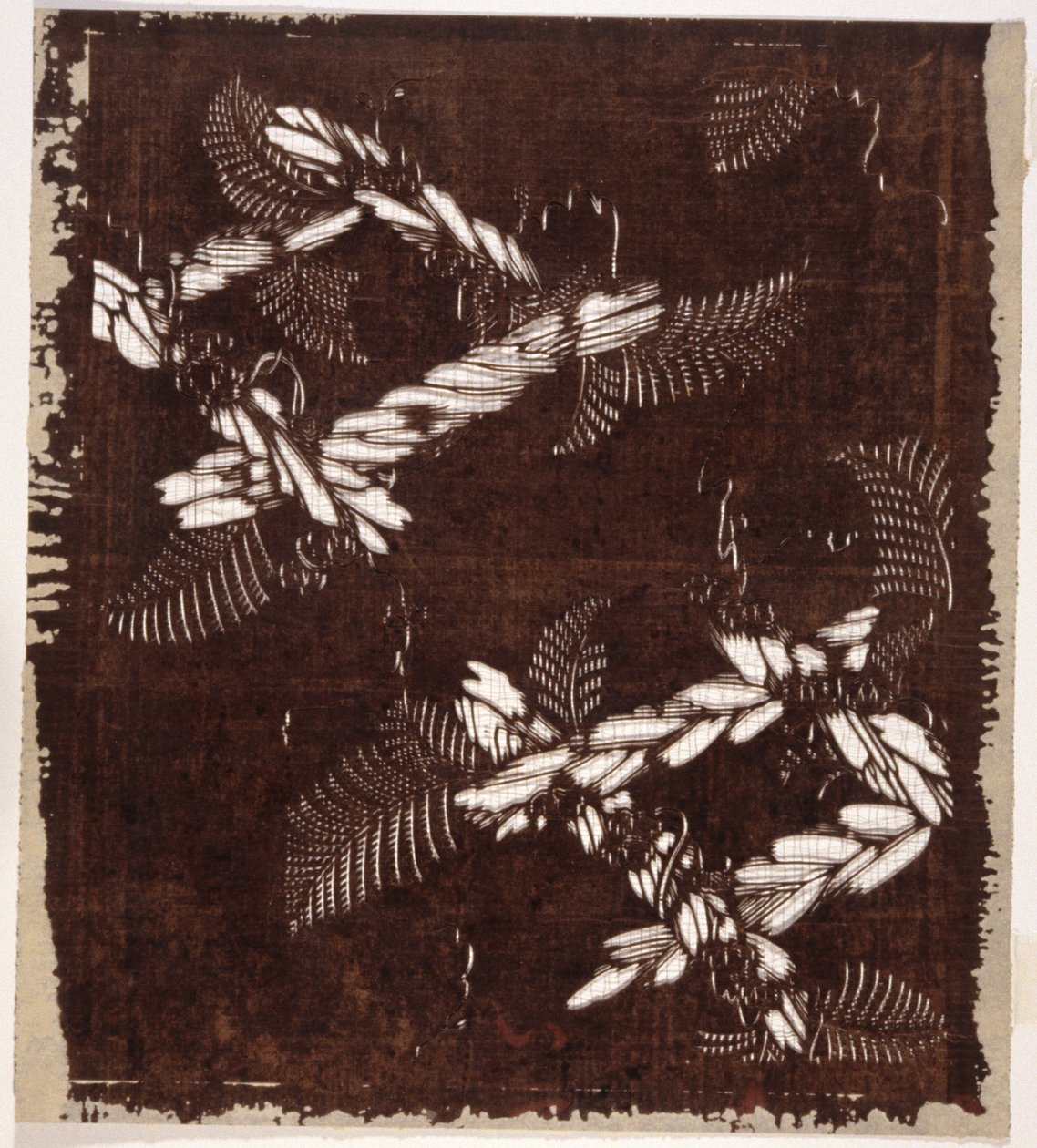 模板（纸） 作者 日本学校
