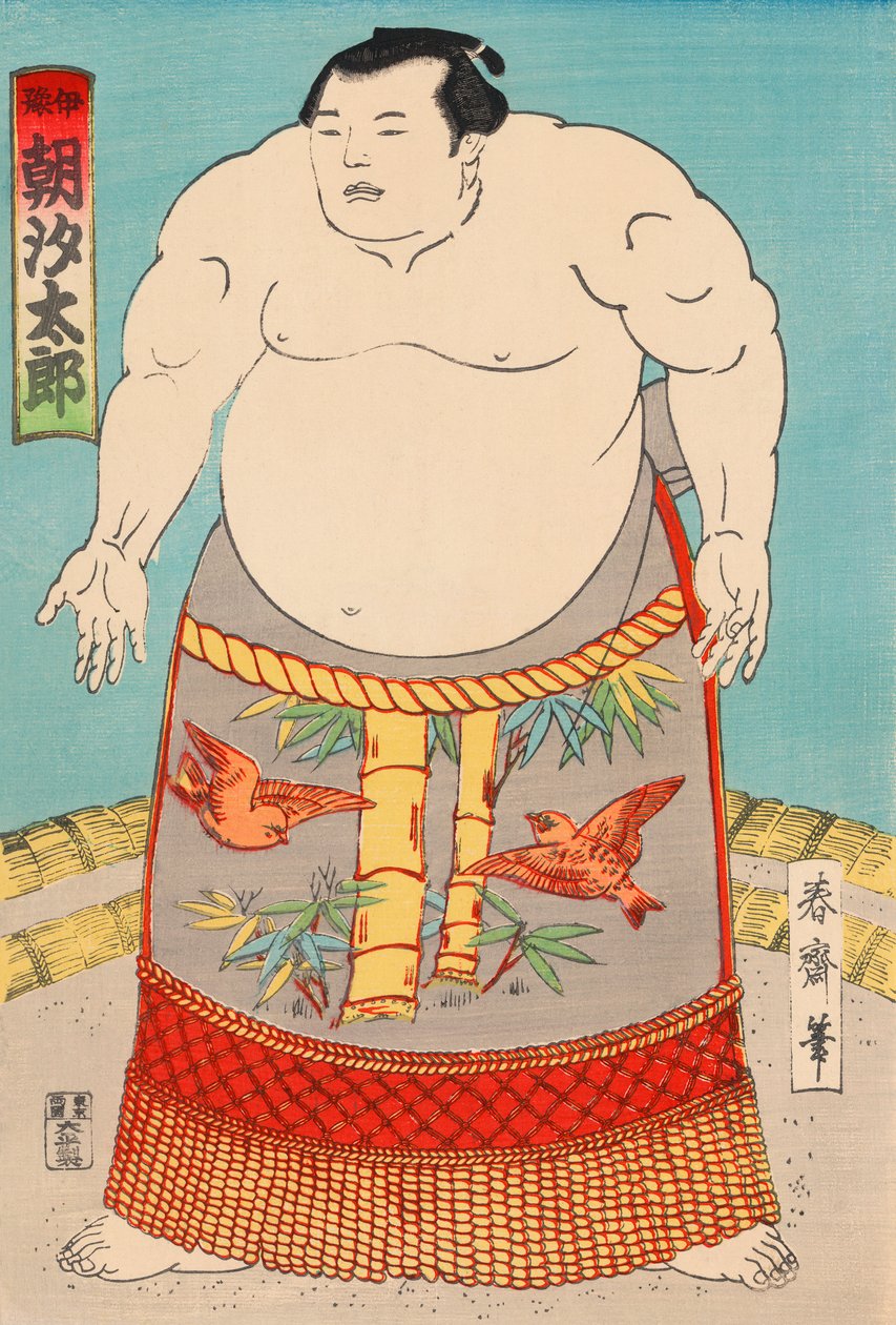 相扑运动员浅石太郎 作者 日本学校