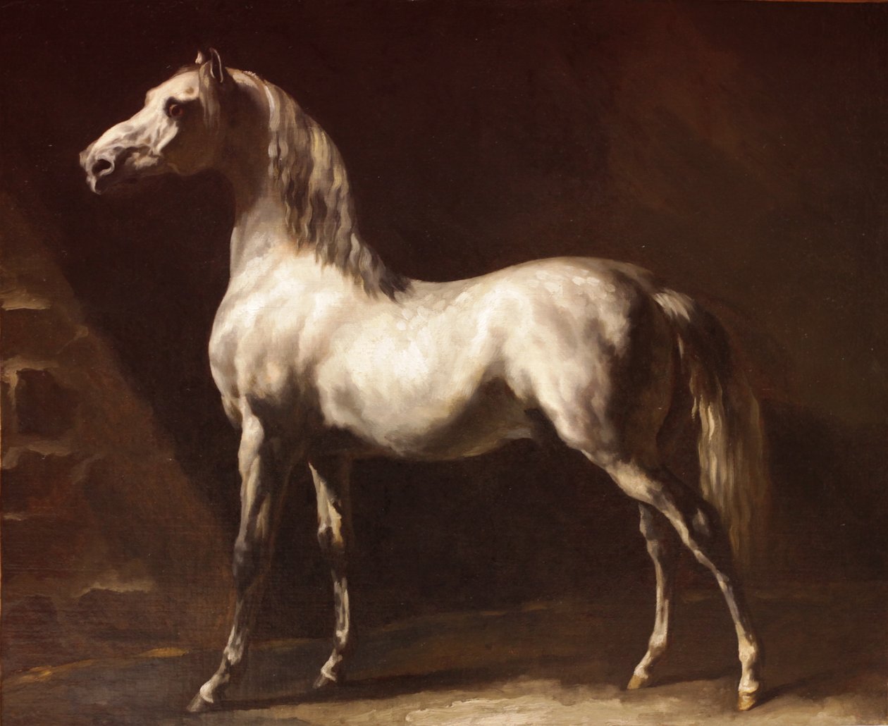 灰白色的阿拉伯马 作者 西奥多·杰里科（Theodore Gericault）