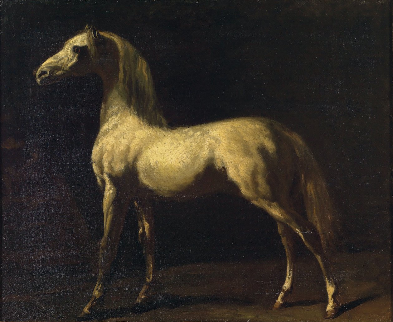 一匹站立的马 作者 西奥多·杰里科（Theodore Gericault）