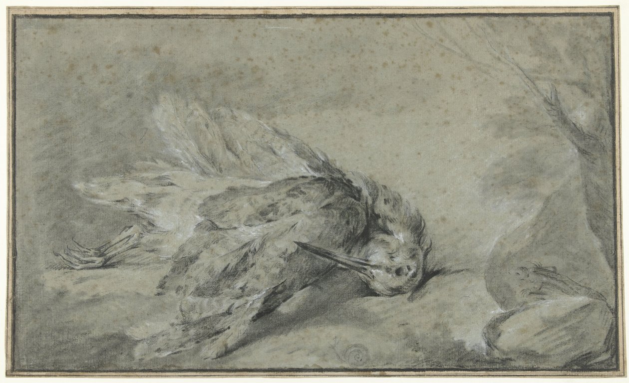 死亡的丘鹬 作者 让·巴蒂斯特·奥德里（Jean Baptiste Oudry）