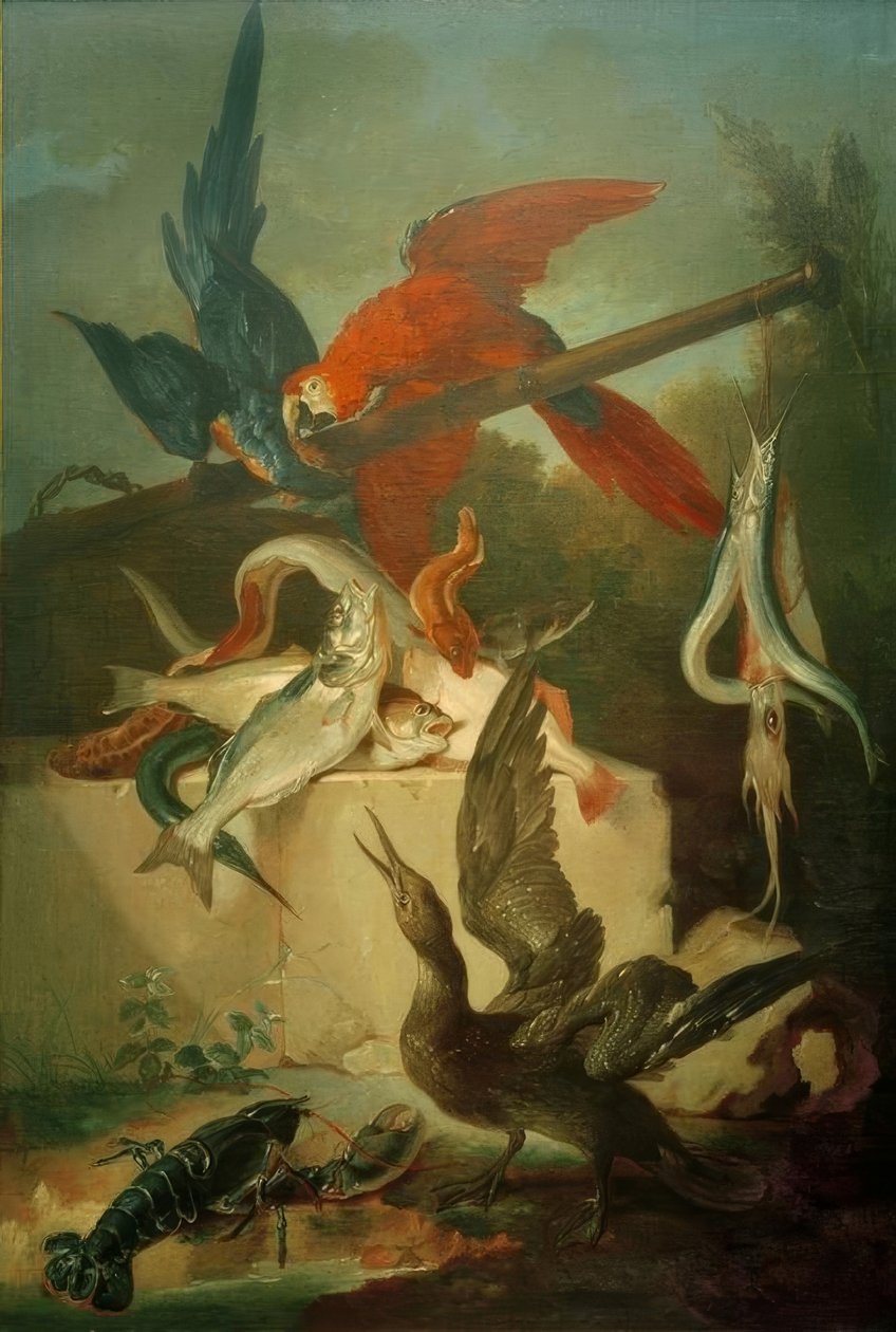 鱼，海鸟和巴贝亚 作者 让·巴蒂斯特·奥德里（Jean Baptiste Oudry）