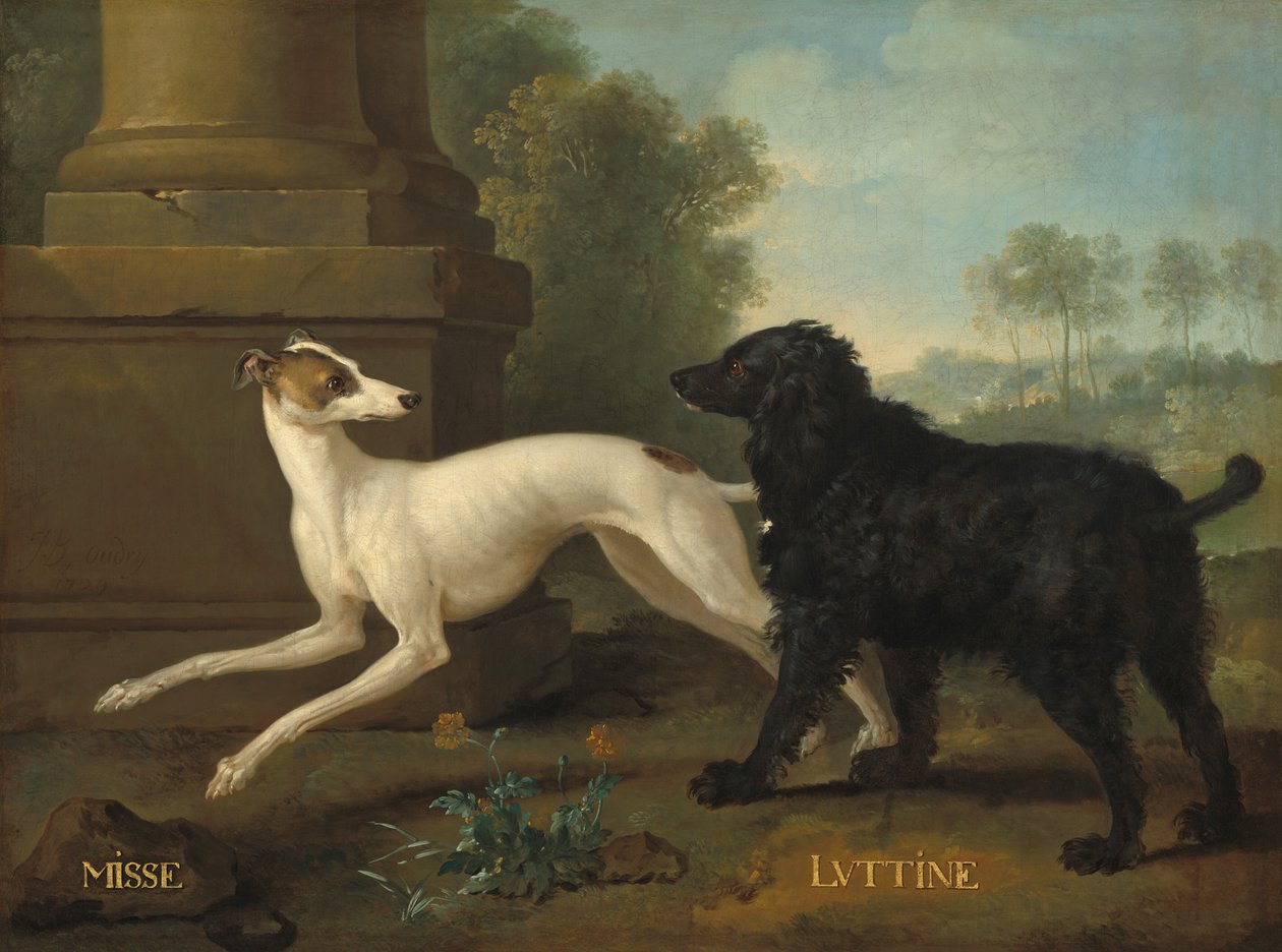 米塞和卢廷 作者 让·巴蒂斯特·奥德里（Jean Baptiste Oudry）