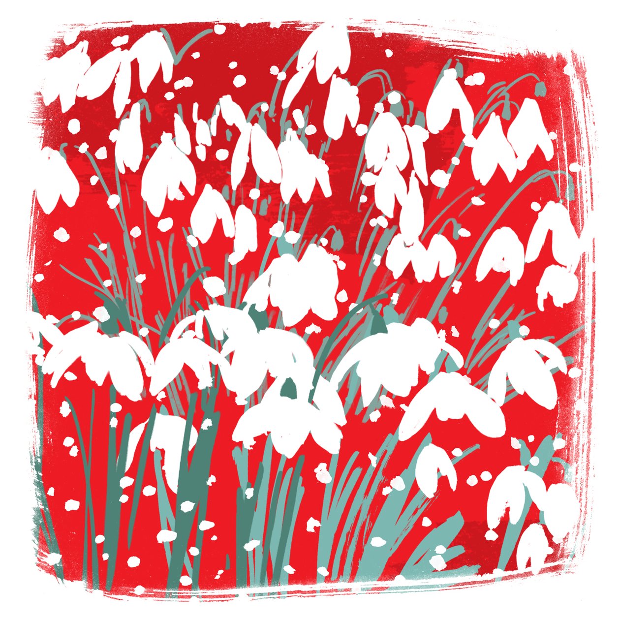 Snowdrops 作者 珍妮·弗兰（Jenny Frean）