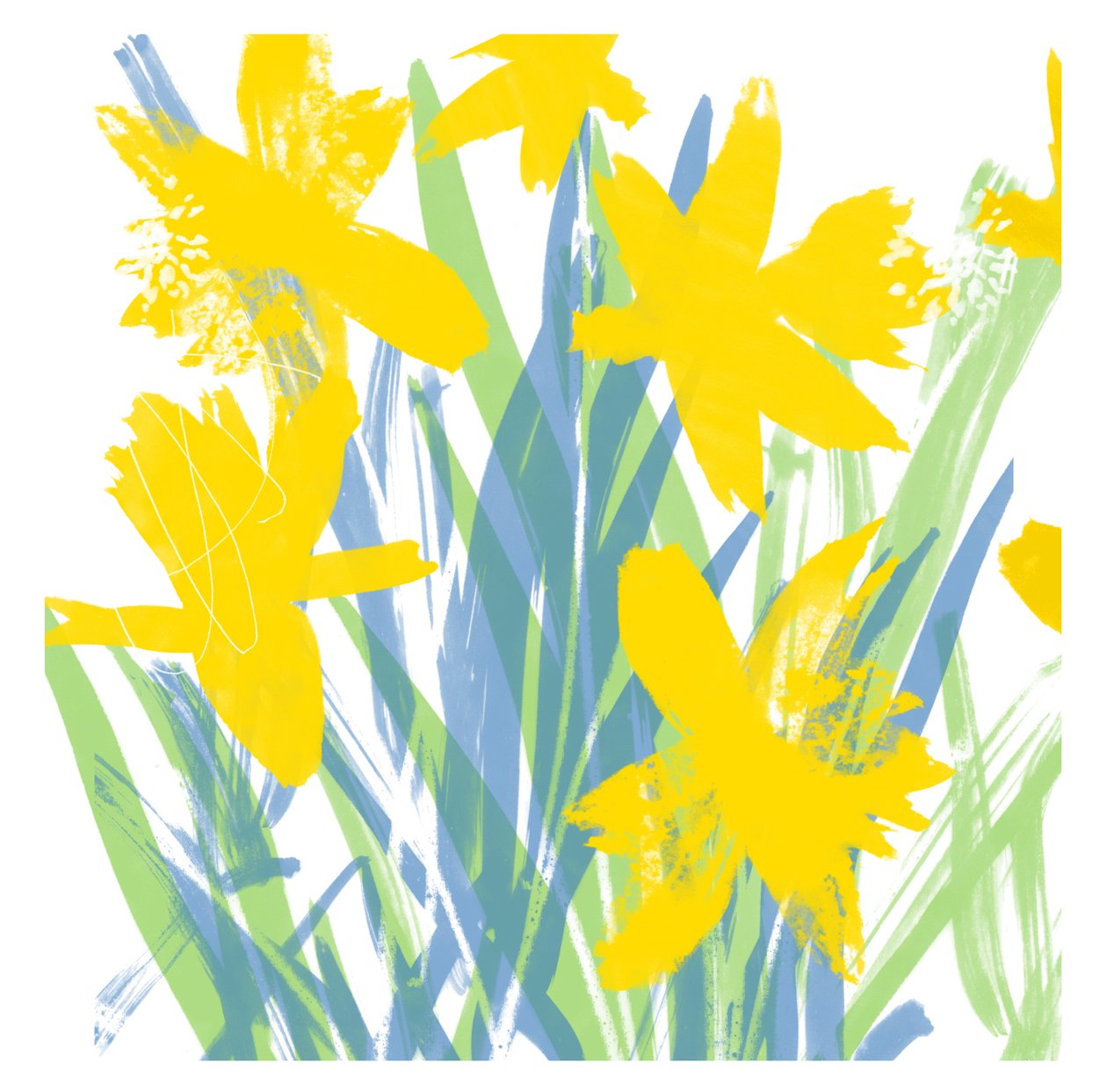 Spring Daffodils 作者 珍妮·弗兰（Jenny Frean）
