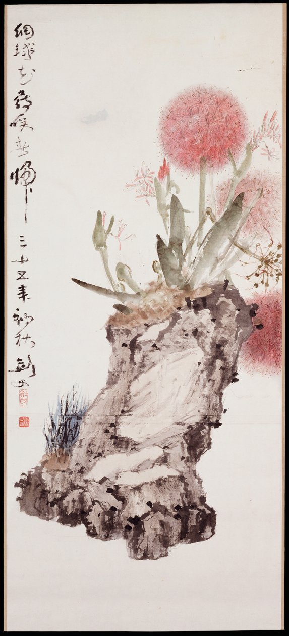 绣球花与岩石 作者 高建福