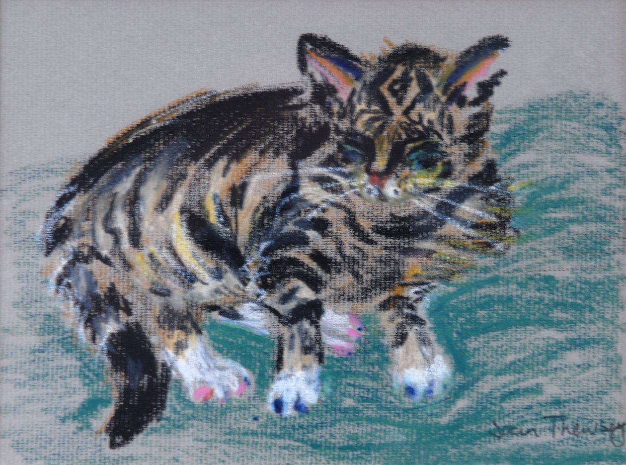 虎斑猫，2005年（粉彩） 作者 琼·瑟西